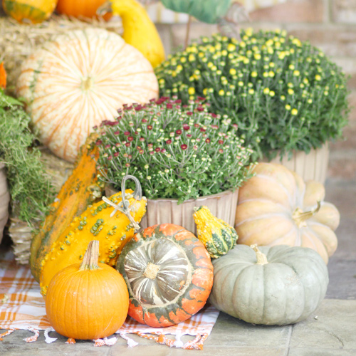 pumpkins