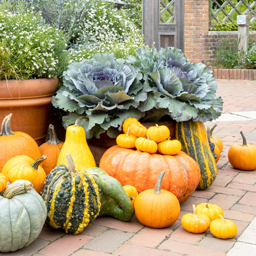 fall porch decorating ideas