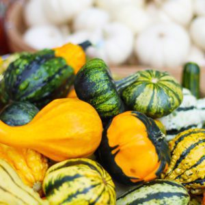 ornamental gourds