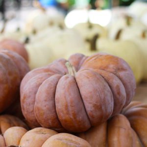 fairytale pumpkin
