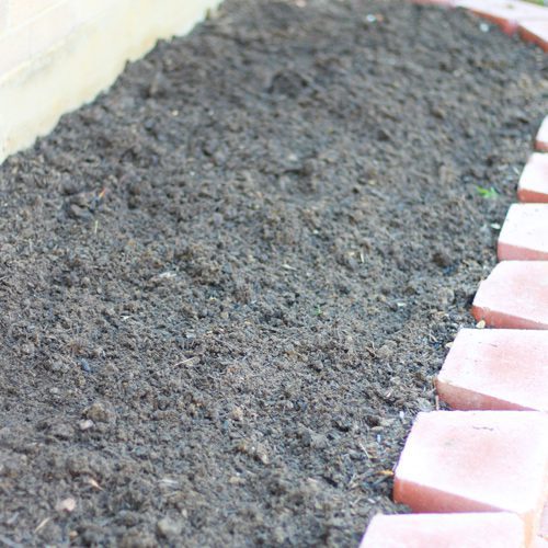 Nature’s Creation® Expanded Shale for Fall Gardening | Calloway's Nursery
