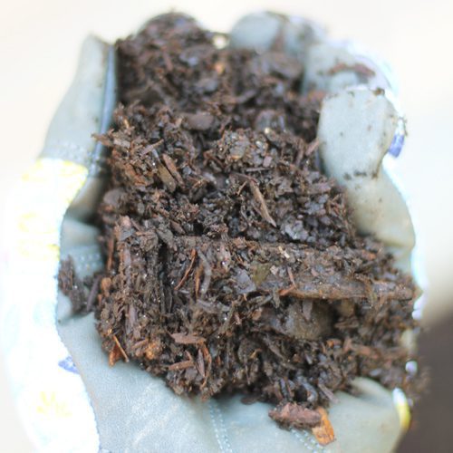 Calloway’s Organic Garden Compost for Fall Gardening | Calloway's Nursery