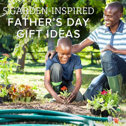 father's day garden gifts