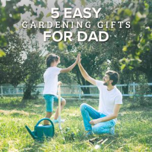 father's day gifts