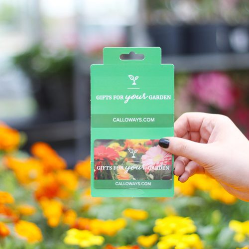Gift Cards for Gardens | Calloway's Nursery