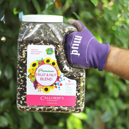 Calloway’s Premium Fruit & Nut Blend for Birds | Calloway's Nursery