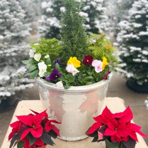 pansy container garden