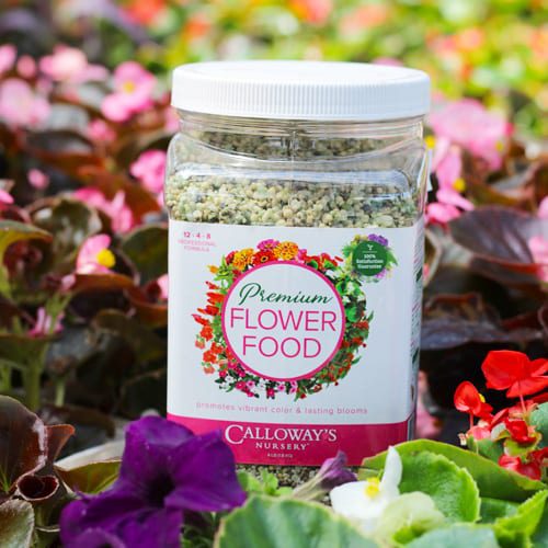 calloway's premium flower food