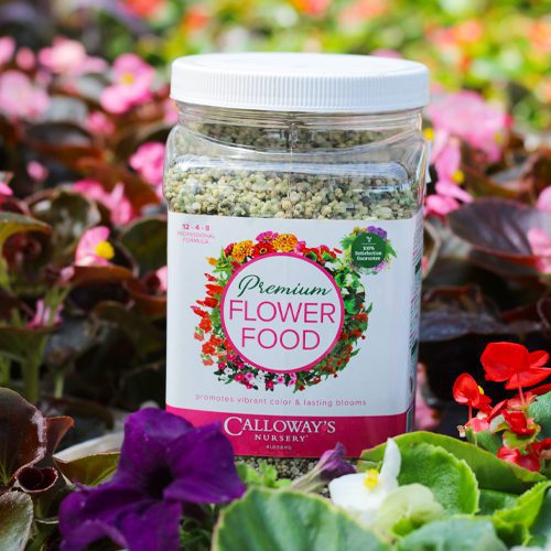 calloway's premium flower food