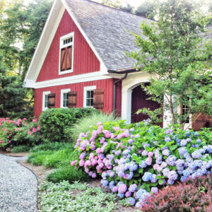 flowering shrubs in landscape