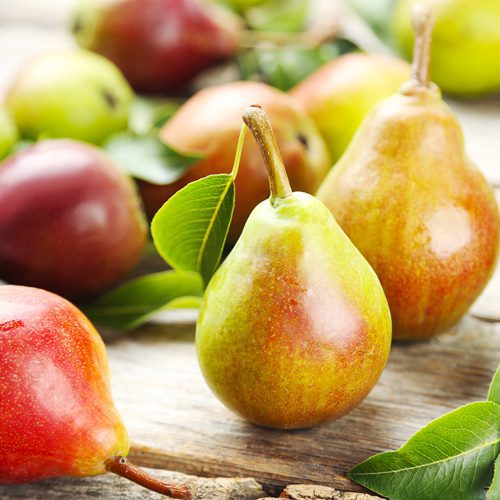 pear tree