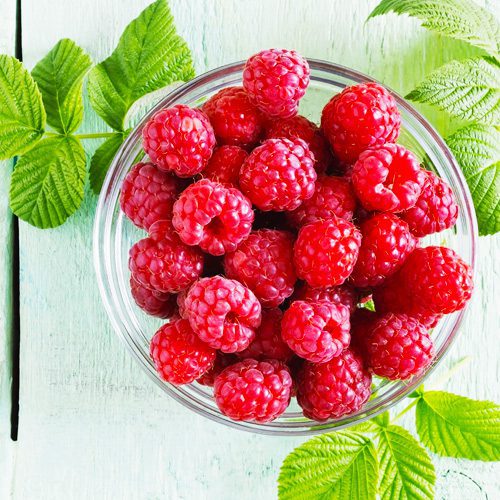 raspberries in garden