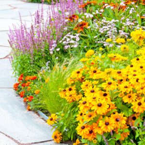 flowerbed