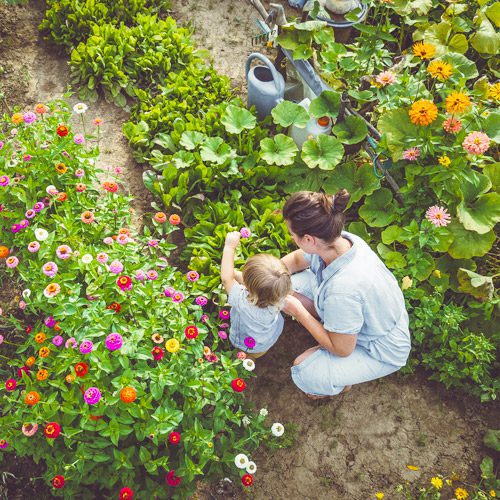 Mother and Child Gardening | Calloway’s Nursery