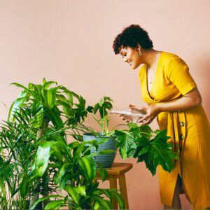 woman watering houseplants