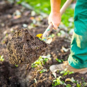 digging soil