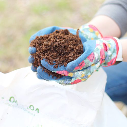 using quality soil for your herb garden