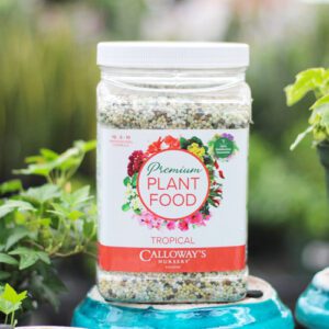 calloway's premium tropical plant food