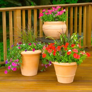 container gardens