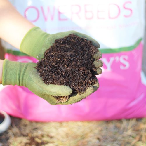 Calloway's Premium Flowerbed Garden Soil