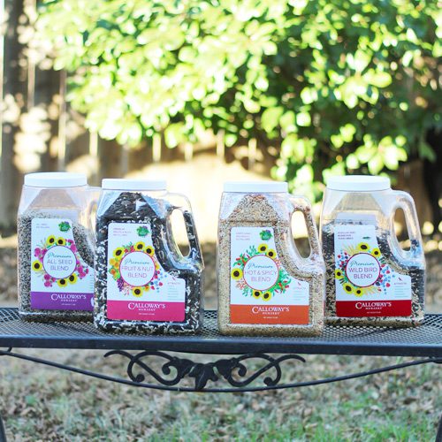 premium bird seeds available