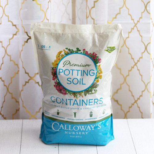 soil for planting in containers