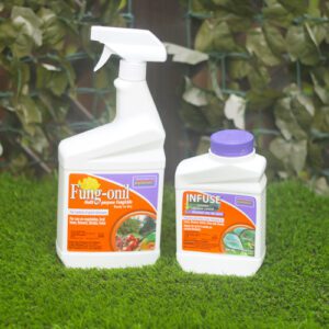 fungicide