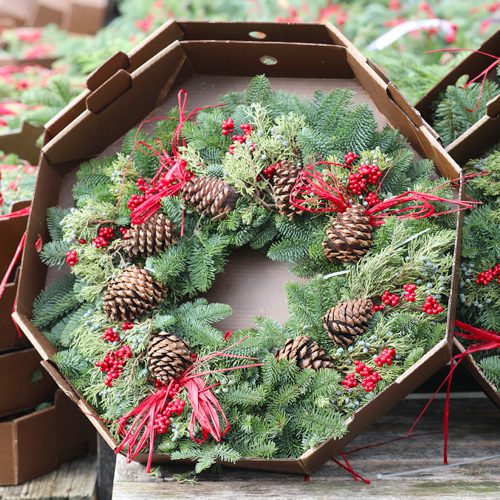Fresh Christmas Wreath for Holidays Decoration | Calloway's Nursery