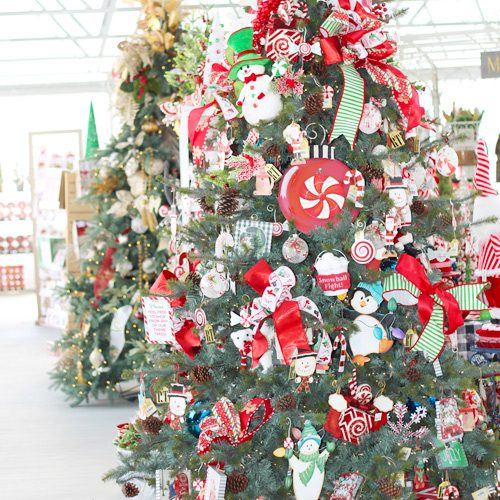 Life-Like Christmas Tree for Holidays Decoration | Calloway's Nursery