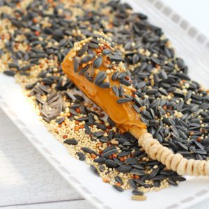bird seed craft