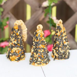 bird feeder craft