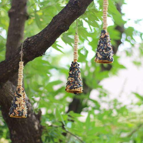 bird feeders