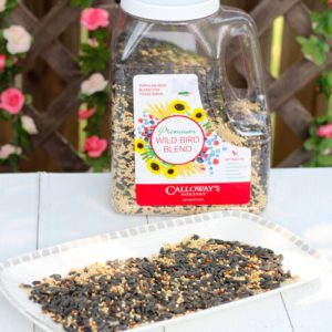 bird seed