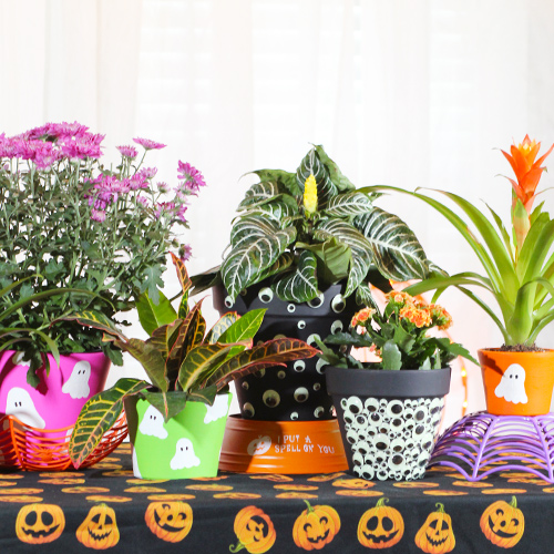 halloween DIY craft ideas