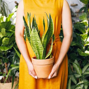 indoor gardening