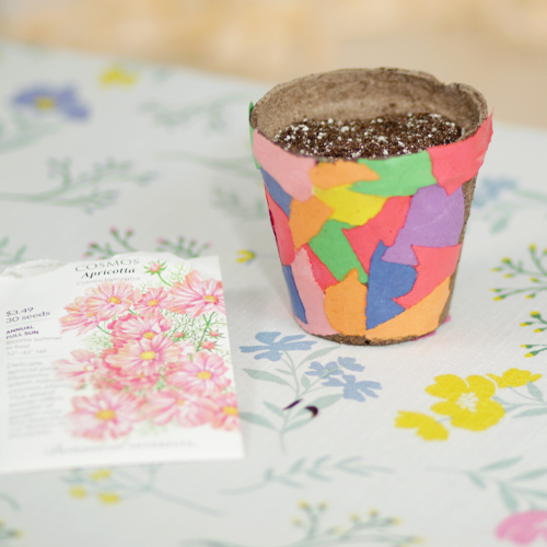 Children's garden ideas