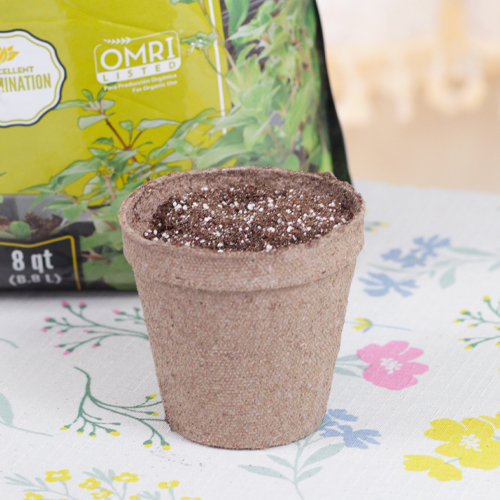 Seedling Soil