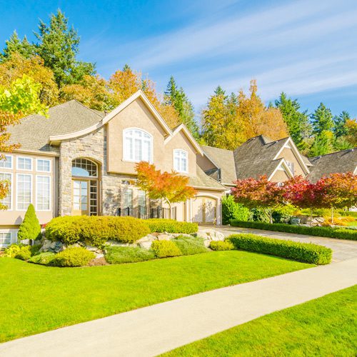 Landscape Design for Fall | Calloway's Nursery