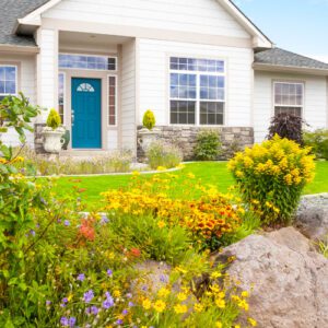 landscape design