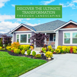 landscaping