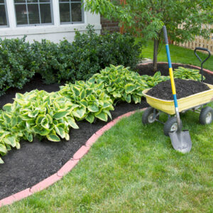 laying mulch