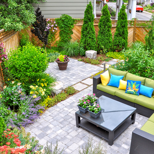dream garden