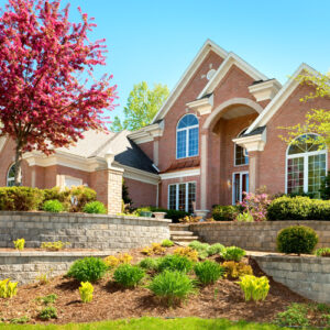Expert Landscape Installation