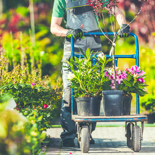 professional landscapers