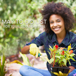 gardening in may