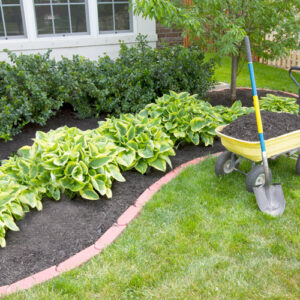 applying mulch