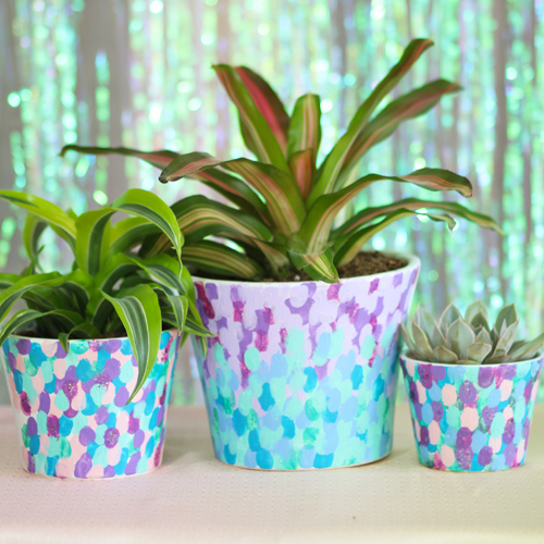 indoor plants in mermaid tail pottery