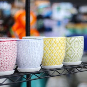 lotus pottery