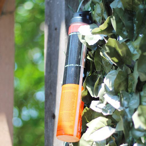 Bait Station for Mosquitoes | Calloway's Nursery