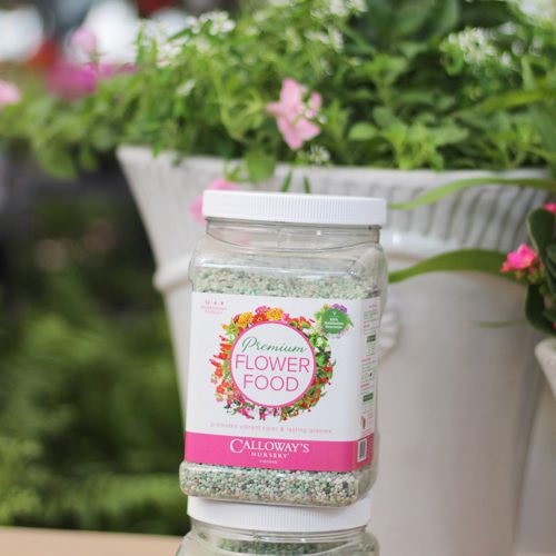 premium flower food